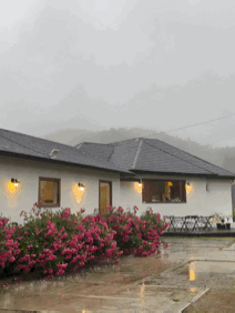 비오는 날도 예쁜 숲뷰카페 여주