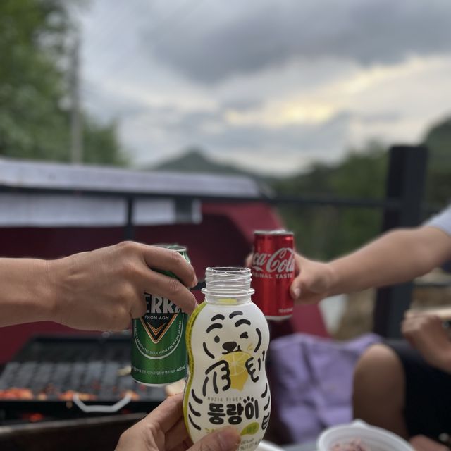 곡성장미축제