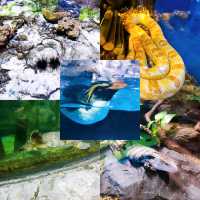 What To Do in Langkawi 