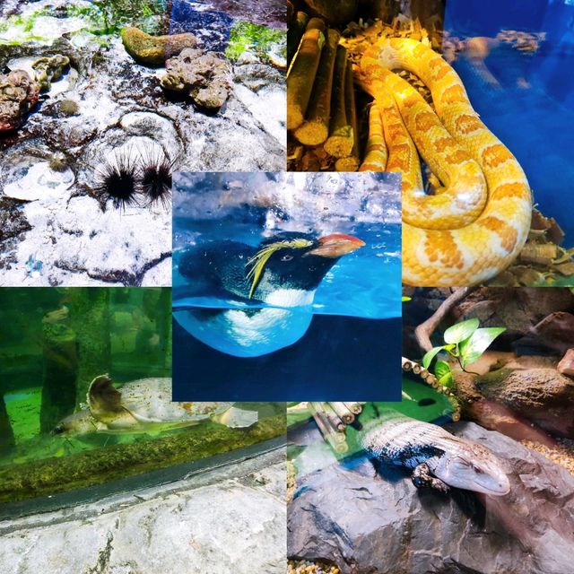 What To Do in Langkawi 