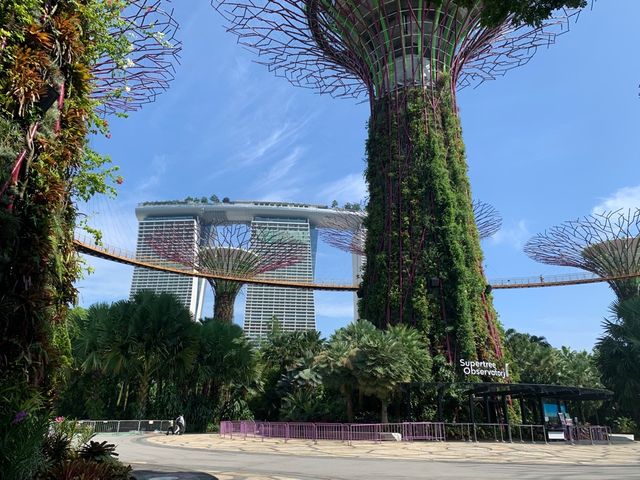 Electric Tree in Gardens By The Bay