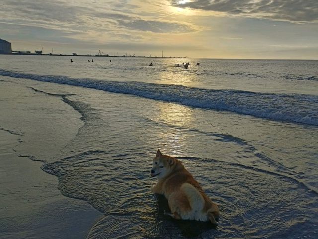 觀音濱海遊憩區
