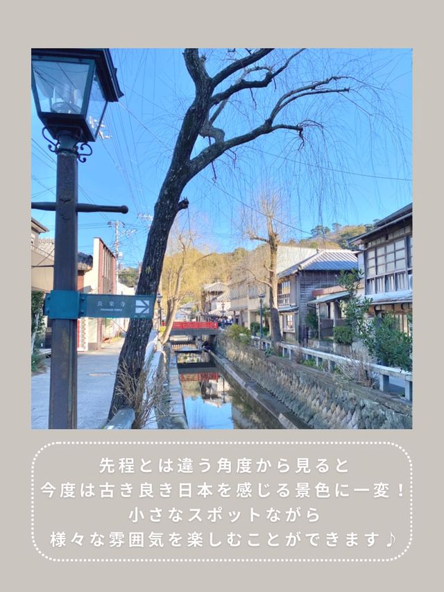 【下田】わんこと行けるインスタ映えスポット🫧