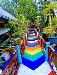 หาดสันหลังมังกร ทะเลแหวก