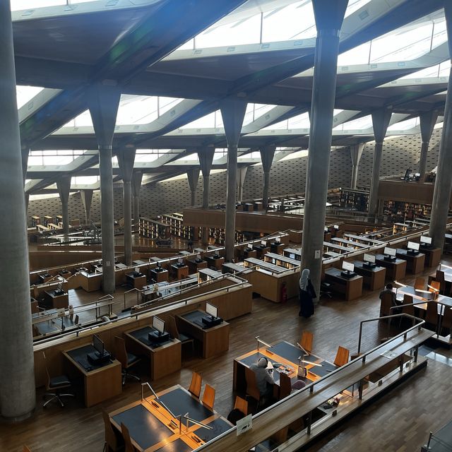 アレクサンドリアの巨大な図書館