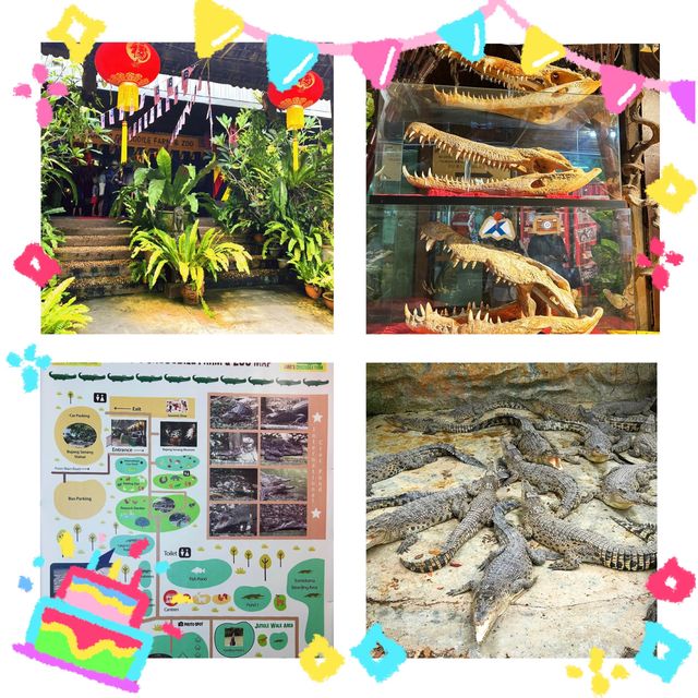 楊氏鱷魚場～挑戰刺激冒險！🐊🌴🔥