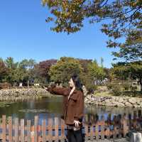 신라를 찾아서! 가을의 대릉원 산책🍂