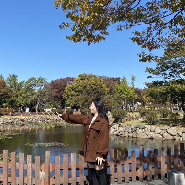 신라를 찾아서! 가을의 대릉원 산책🍂