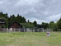 羊山公園
