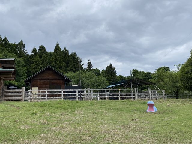 羊山公園