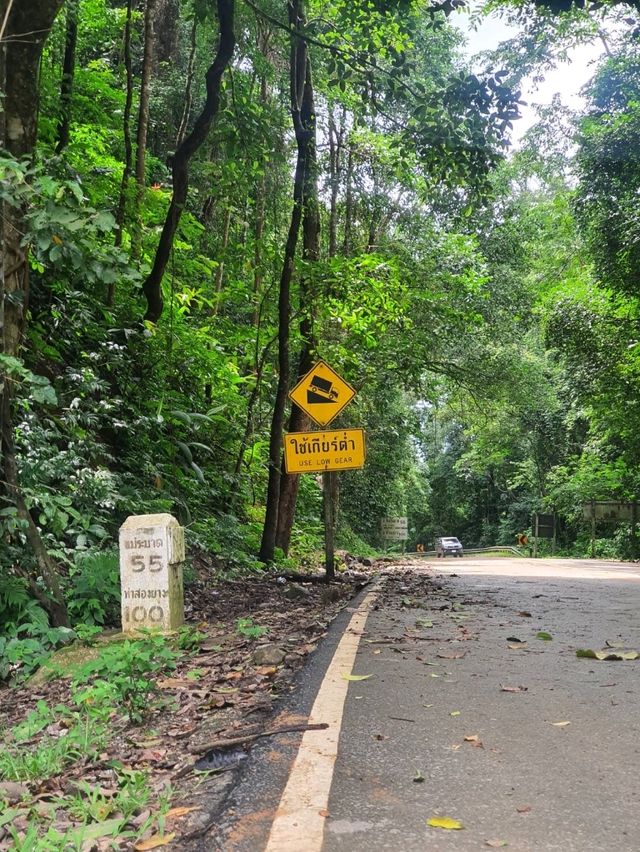 พาเดินเทรล"ดอยลับ" อุทยานแห่งชาติดอยสอยมาลัย