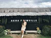 Akha Farmville ฟาร์มแกะดอยช้าง
