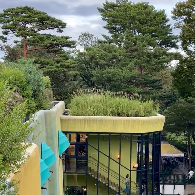 三鷹之森吉卜力美術館🏞️進入動畫魔法世界🎨🏰🎥