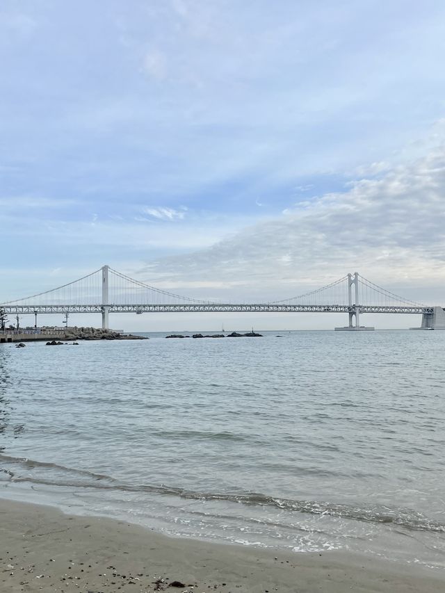 광안리바다는 언제나 옳다