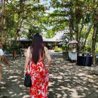 Enchanted Bali winery 