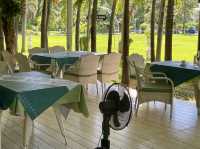 The Consul's Garden