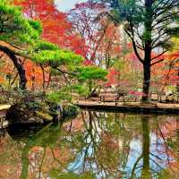 曽木公園