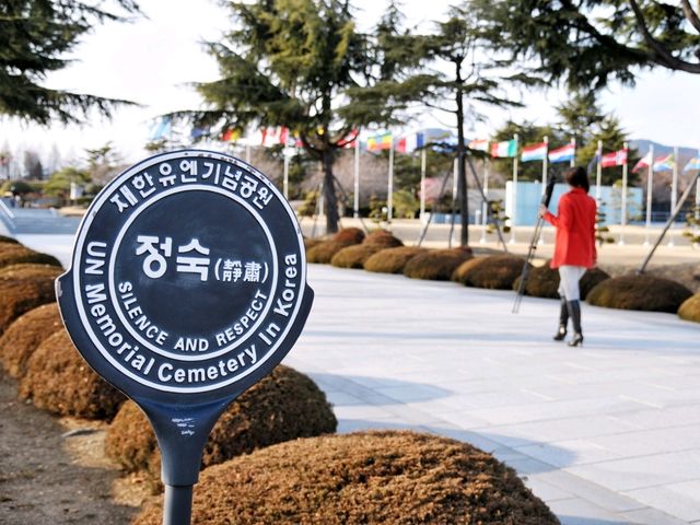 부산에서 홍매화가 가장 빨리 피는곳🌸