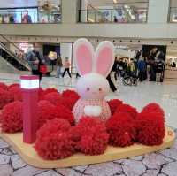 跟著萌兔遊花海