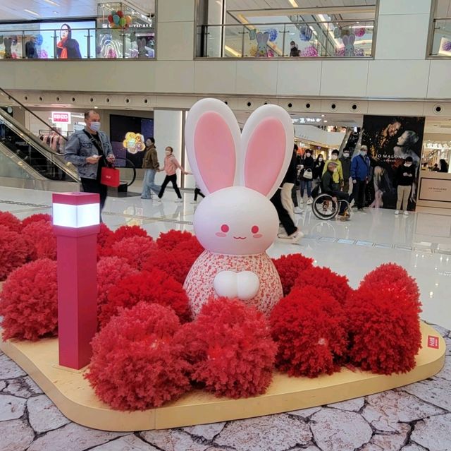跟著萌兔遊花海