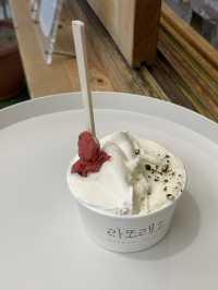 속초 강원도 감자로 만든 색다른 젤라또 맛집🍨 [속초_라또래요]