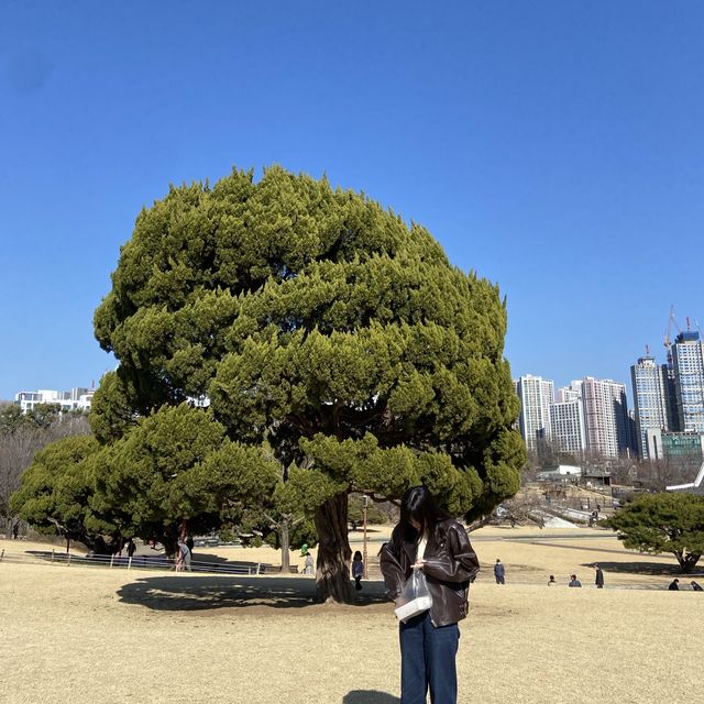 대구 아이와 함께 가볼만한 곳, 달성공원 동물원