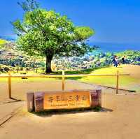 若草山