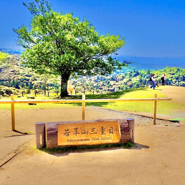 若草山