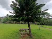 龍潭鄉 大平山公園