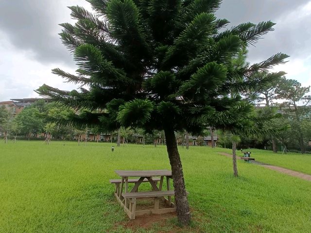 龍潭鄉 大平山公園 龍潭鄉 大平山公園