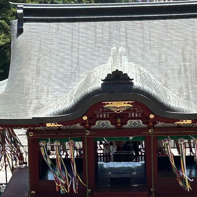 【 神奈川 / 鎌倉 】鎌倉文化の起点！鶴岡八幡宮⛩️