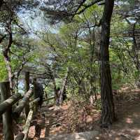 영종도안의 무의도 하나개해수욕장💙해상관광탐방로🌿