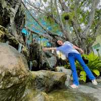 ร่องขุ่น ร่องใจ 