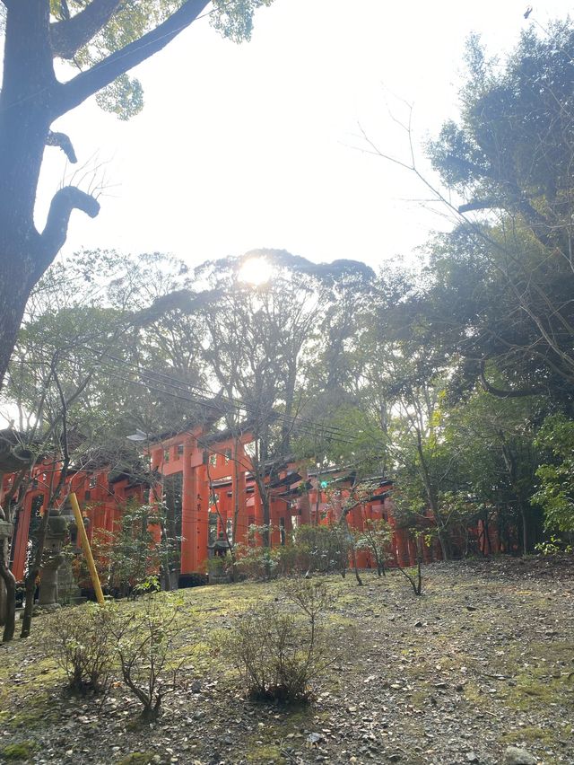 เที่ยวศาลเจ้าฟูชิมิ อินาริ ⛩️Fushimi Inari Taisha