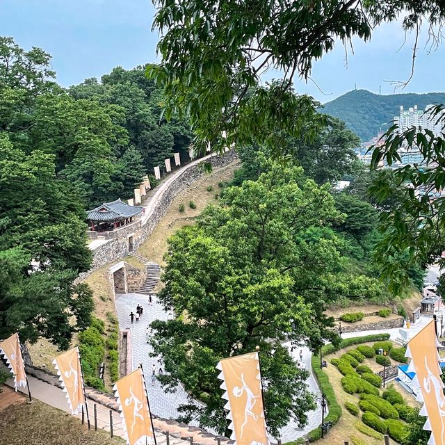 예쁜 코끼리 마늘꽃 보러 미르섬으로 가요