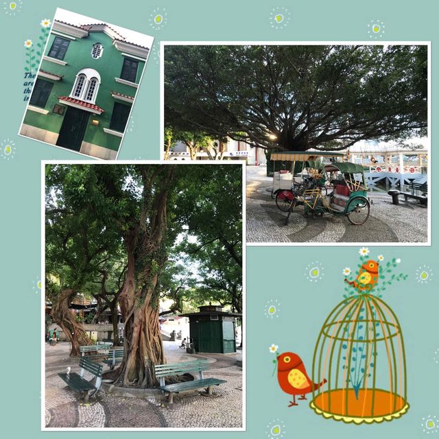 媽閣廟前地🤗悠閑風情😘 媽閣廟前地🤗悠閑風情😘