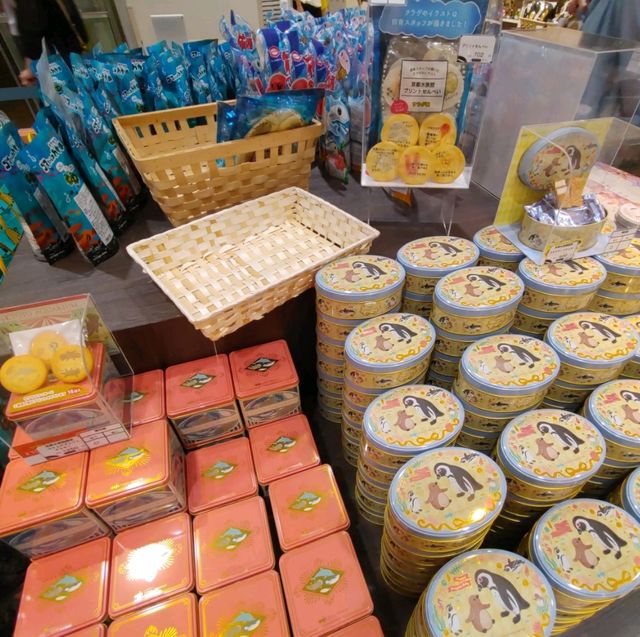 海の生き物ってどうやって眠るの？　夜の京都水族館