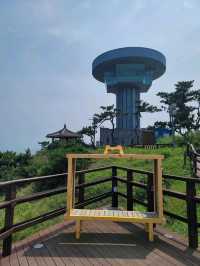 아름다운 바다위 그림같은 경주 양남 주상절리🪨🌊