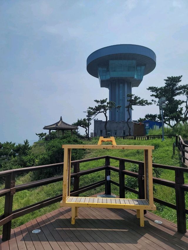 아름다운 바다위 그림같은 경주 양남 주상절리🪨🌊