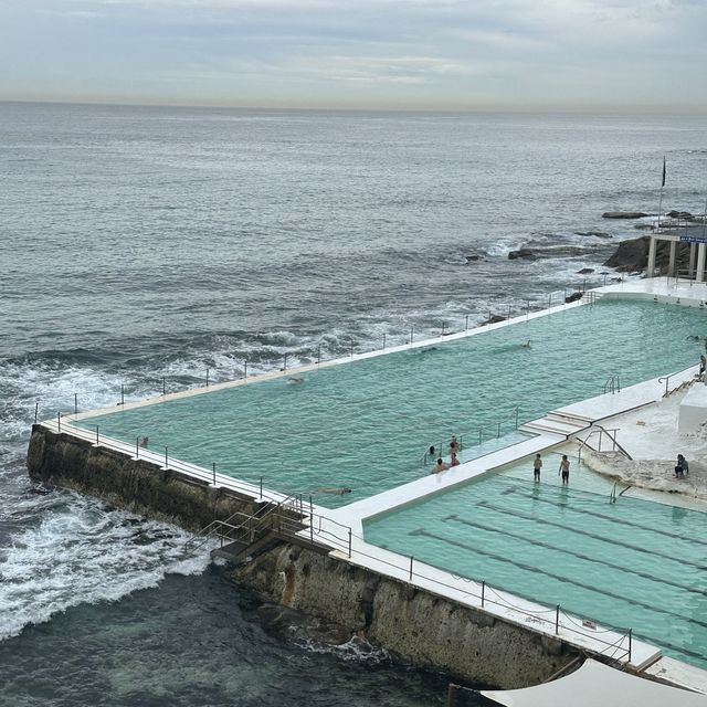 Fantastic Bondi Icebergs Pool