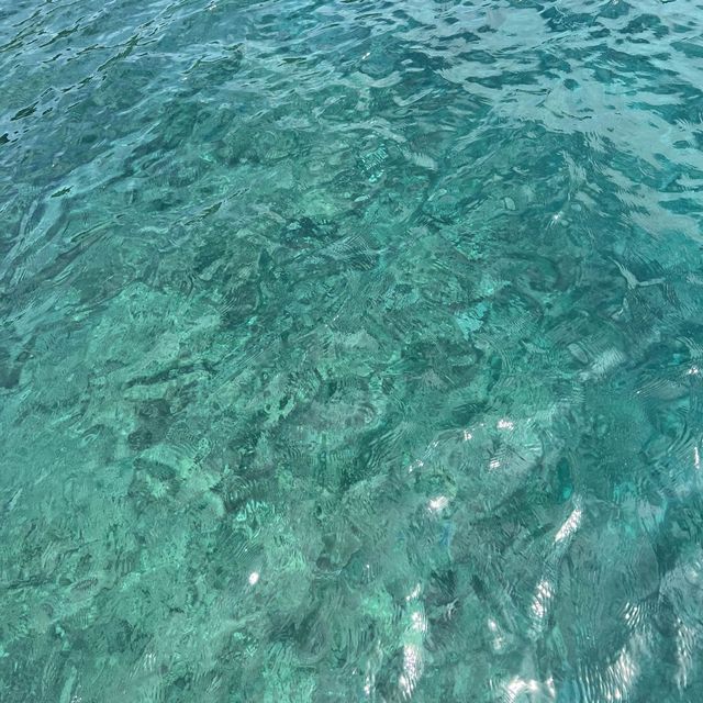 石垣島☺︎ 竹富島☺︎