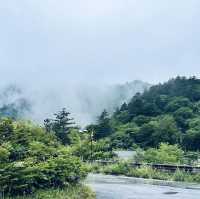 「日光市遊記：東照宮，中禪寺湖和湯波豆腐美食」