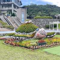 沖繩海洋博公園-十多個景點玩足全日