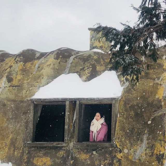 넓은 평원에 펼쳐진 설경❄️
