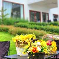 ☕️คาเฟ่ริมทะเลสาบสไตล์มินิมอล 🏡  𝑳𝒂𝒈𝒖𝒏𝒆