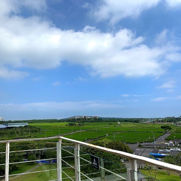 제주녹차밭 구경하기💚 “오설록 티 뮤지엄”🍵