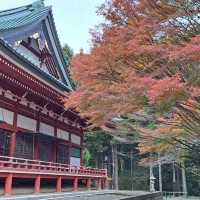 【絶景】比叡山の紅葉2023年