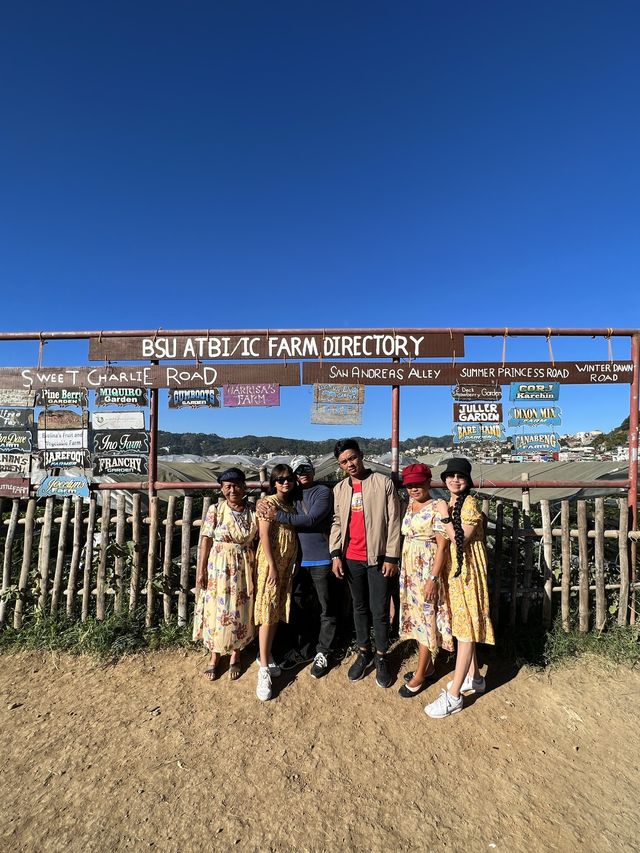 La Trinidad Strawberry Farm