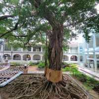 香港文物探知館 - 感受香港歷史文化