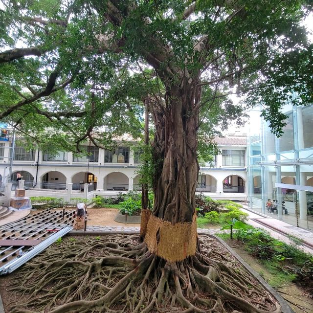 香港文物探知館 - 感受香港歷史文化